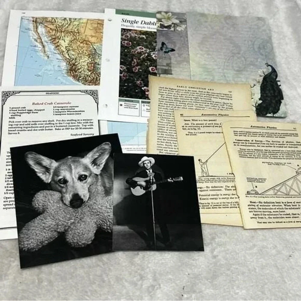 50+ piece Ephemera Lot 5 Collage Crafting Junk Journals Scrapbooking